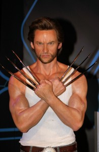 Wolverine_